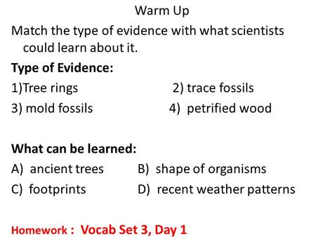 Warm Up Match the type of evidence with what scientists could learn about it. Type of Evidence: 1)Tree rings 2) trace fossils 3) mold fossils 4) petrified.