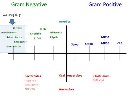 Gram Negative Gram Positive