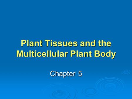 Plant Tissues and the Multicellular Plant Body