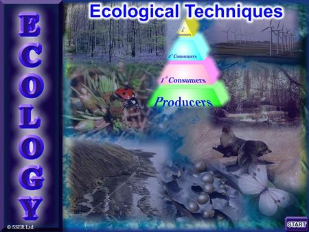 © SSER Ltd.. Ecological Techniques A variety of universal practical approaches exist for investigating the biotic and abiotic components of ecosystems.