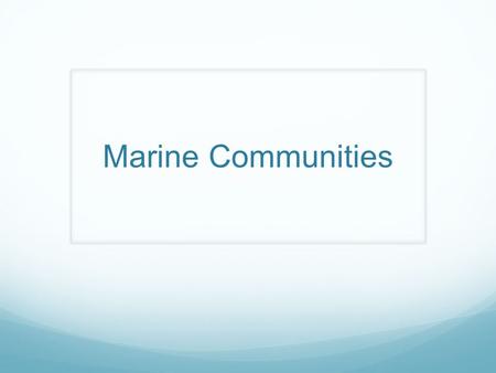 Marine Communities. Basics Community: Organisms in a specific group of interacting producers, consumers, and recyclers that share a common living space.