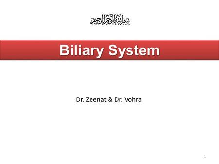 Biliary System Dr. Zeenat & Dr. Vohra.