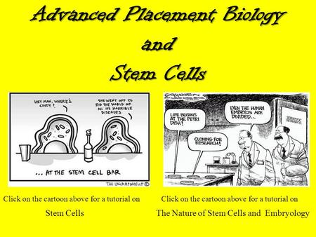 Advanced Placement Biology and Stem Cells Click on the cartoon above for a tutorial on Stem Cells The Nature of Stem Cells and Embryology.