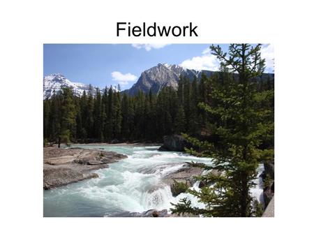 Fieldwork. Measuring populations - sampling Usually use transect or quadrat to sample Count number of organisms per sample area, then calculate numbers.