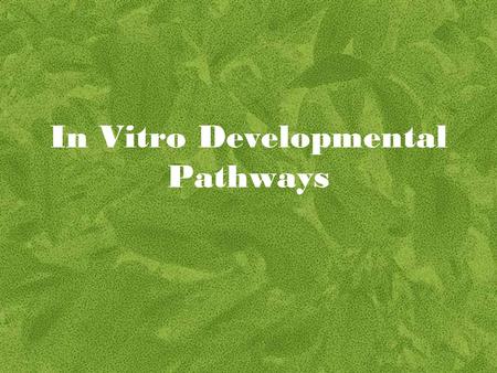 In Vitro Developmental Pathways