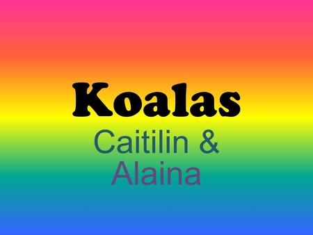 Koalas Caitilin & Alaina.