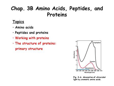 Chap. 3B Amino Acids, Peptides, and Proteins Topics Amino acids Peptides and proteins Working with proteins The structure of proteins: primary structure.