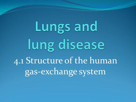 4.1 Structure of the human gas-exchange system