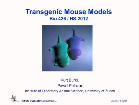 Institute of Laboratory Animal Science University of Zurich Transgenic Mouse Models Bio 426 / HS 2012 Kurt Bürki, Pawel Pelczar Institute of Laboratory.