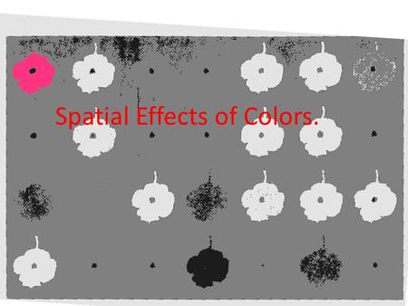 Spatial Effects of Colors.. Donald Sultan, 28 Flowers Does Donald Sultan create an illusion that some flowers are larger and some are smaller? Some nearer,