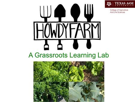A Grassroots Learning Lab College of Agriculture And Life Sciences.
