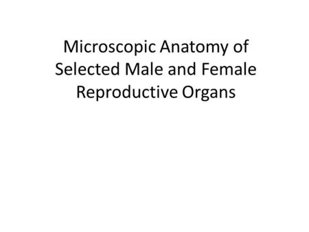 Microscopic Anatomy of Selected Male and Female Reproductive Organs
