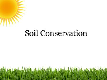  Soil is one of Earth´s most valuable natural resources because everything that lives on land, including humans, depends directly or indirectly on soil.