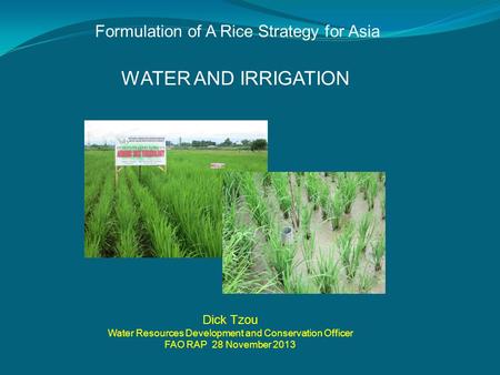 WATER AND IRRIGATION Formulation of A Rice Strategy for Asia Dick Tzou