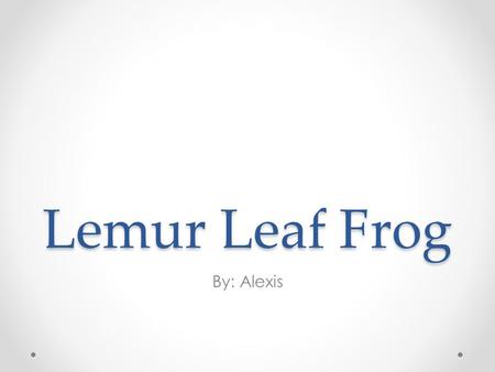 Lemur Leaf Frog By: Alexis. Habitat and Color The color is green with brown spots, silver eyes, blue nostrils, unlikely from other frogs this one has.