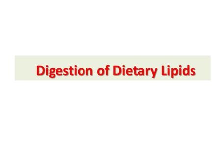 Digestion of Dietary Lipids