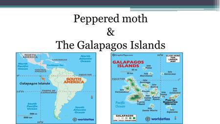 Peppered moth & The Galapagos Islands.