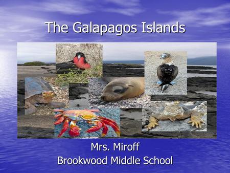 The Galapagos Islands Mrs. Miroff Brookwood Middle School.