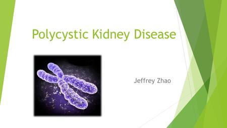 Polycystic Kidney Disease Jeffrey Zhao. Two Types  Genetic Disorder  Occurs in humans a few mammals  Around 12.5 million people worldwide  Autosomal.