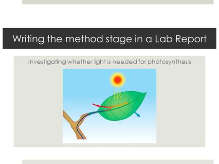 Writing the method stage in a Lab Report Investigating whether light is needed for photosynthesis.