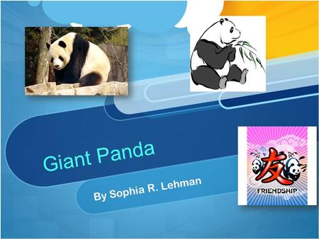 Giant Panda By Sophia R. Lehman The Giant Panda has a lot of fur. It is covered with white fur, well some of the fur. The panda has black on some of.