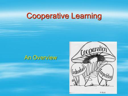 Cooperative Learning An Overview.