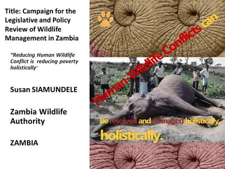 Title: Campaign for the Legislative and Policy Review of Wildlife Management in Zambia “Reducing Human Wildlife Conflict is reducing poverty holistically.