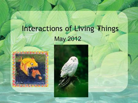 Interactions of Living Things May 2012. Living or Not Living? Biotic – any living thing in an ecosystem –Examples: (list our class examples) Abiotic –