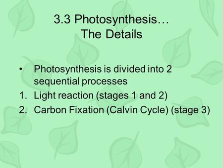 3.3 Photosynthesis… The Details