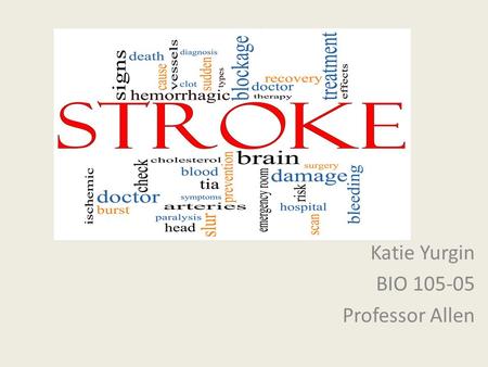 Stroke Katie Yurgin BIO 105-05 Professor Allen.