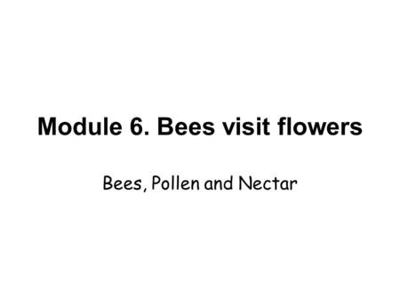Module 6. Bees visit flowers Bees, Pollen and Nectar.