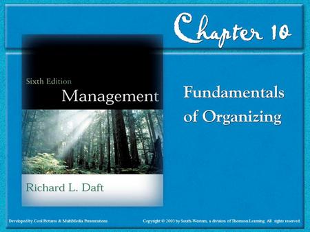 Daft 6th ed Fundamentals of Organizing