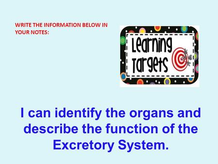 WRITE THE INFORMATION BELOW IN YOUR NOTES: I can identify the organs and describe the function of the Excretory System.