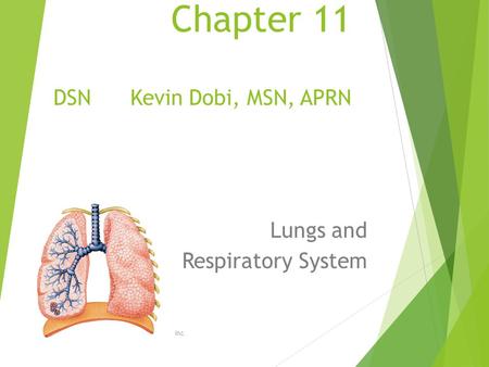 Chapter 11 DSN Kevin Dobi, MSN, APRN