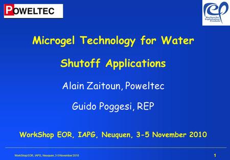 Microgel Technology for Water Shutoff Applications Alain Zaitoun, Poweltec Guido Poggesi, REP WorkShop EOR, IAPG, Neuquen, 3-5 November 2010.