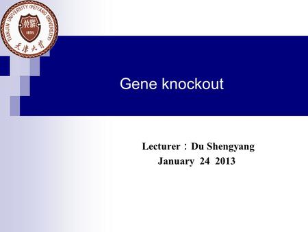 Gene knockout Lecturer ： Du Shengyang January 24 2013.