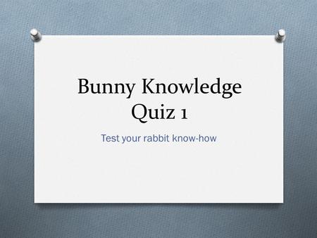 Bunny Knowledge Quiz 1 Test your rabbit know-how.