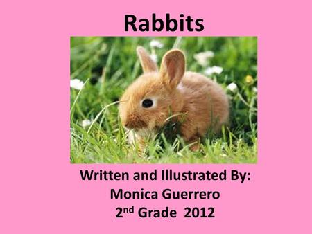 Rabbits Written and Illustrated By: Monica Guerrero 2 nd Grade 2012.