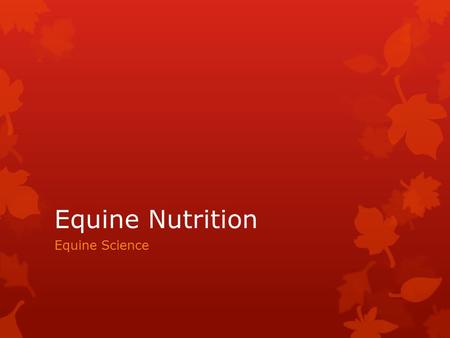 Equine Nutrition Equine Science. Introduction  Feed is the greatest expense for horse owners.  Feeding horses means:  Furnishing horses with a daily.