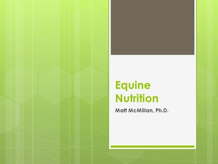 Equine Nutrition Matt McMillan, Ph.D.. Equine Nutrition  What do we consider a horse?  What is included in the GI Tract?  What is horse feed?  Why.