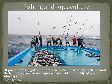 “If you're overfishing at the top of the food chain, and acidifying the ocean at the bottom, you're creating a squeeze that could conceivably collapse.