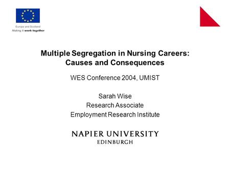 Multiple Segregation in Nursing Careers: Causes and Consequences WES Conference 2004, UMIST Sarah Wise Research Associate Employment Research Institute.