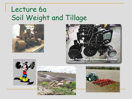 Lecture 6a Soil Weight and Tillage. Soil Weight & Bulk Density Note: Since gravity will not change we will use mass and weight interchangeable. BD = mass.