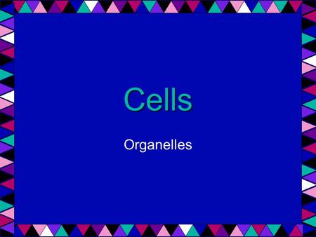 Cells Organelles.