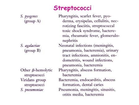Streptococci.