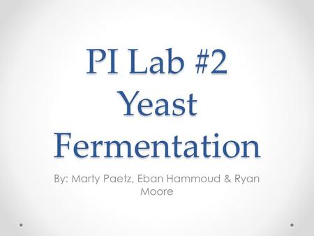 PI Lab #2 Yeast Fermentation By: Marty Paetz, Eban Hammoud & Ryan Moore.
