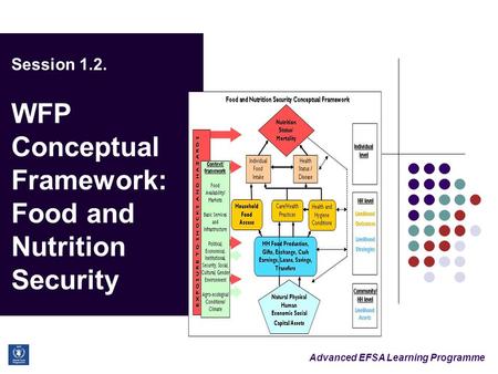 Advanced EFSA Learning Programme Session 1.2. WFP Conceptual Framework: Food and Nutrition Security.