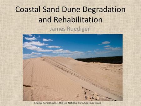 Coastal Sand Dune Degradation and Rehabilitation James Ruediger Coastal Sand Dunes, Little Dip National Park, South Australia.