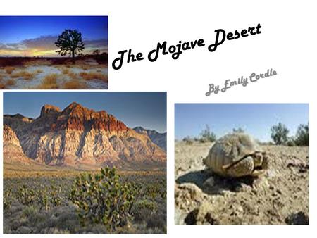 The Mojave Desert By Emily Cordle. Biomes A biome is a large geographical area of plants and animals that have adapted to live there.