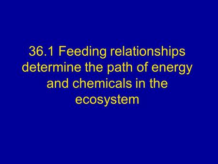 36.1 Feeding relationships determine the path of energy and chemicals in the ecosystem.